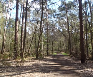 Kasterlee - 17-04-2021 (11)