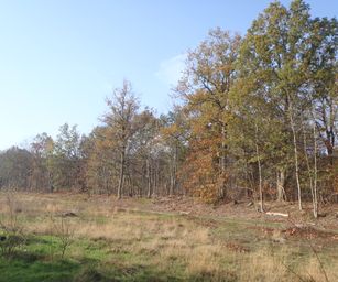 Bornem - 07-11-2020 (12)