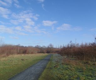 De Pinte - 09-01-2021 (3)
