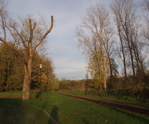 11-11-2022 Destelbergen 3 (16)