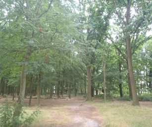 28-07-2022 Brugge 2 (8)