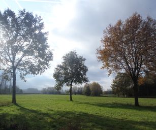 Kalken - 14-11-2020 (21)