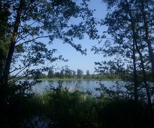 Mol - 21-07-2021 (19)