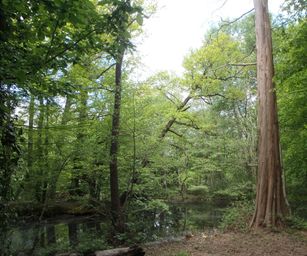 30-04-2022 - Destelbergen (6)