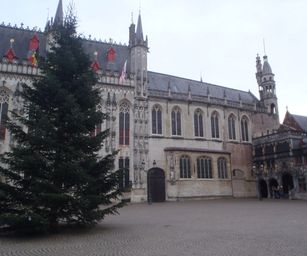 Brugge - 24-01-2021 (20)