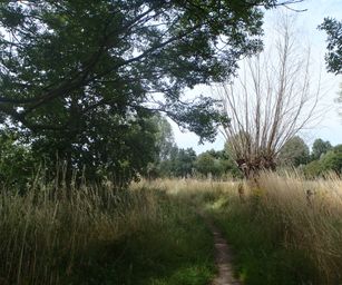 28-07-2022 Brugge 2 (13)
