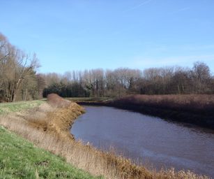 12-02-2022 - Lier (4)