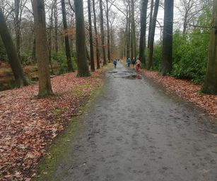 Hemiksem 02-02-2020 (8)