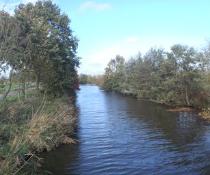 Wetteren - 31-10-2020 (27)