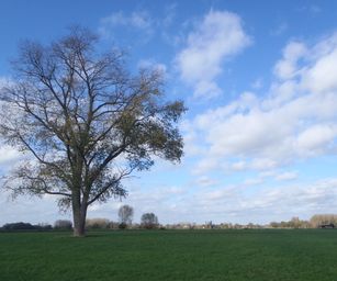 Wetteren - 31-10-2020 (13)