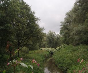 Schelle - 29-08-2021 (38)