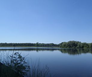 Heindonk - 13-06-2021 (36)