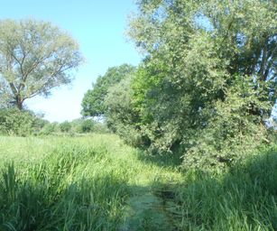Haacht - 06-06-2021 (6)