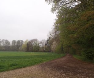 16-04-2023 - Winksele (4)