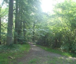 Sint-Pieters-Rode - 19-06-2021 (11)