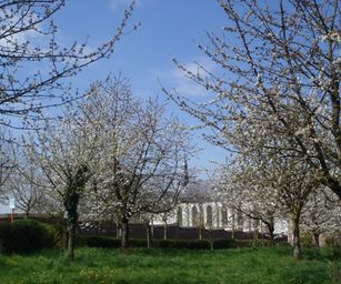 19-04-2023 - Wellen (26)