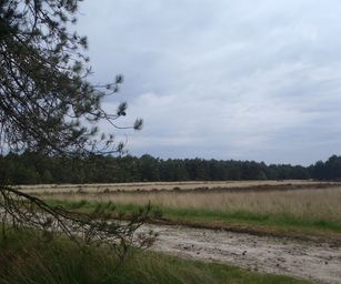04-06-2022 Bergen-op-zoom (3)