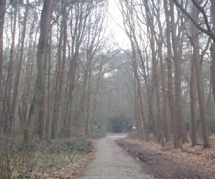 Sint-Niklaas - 27-02-2021 (7)