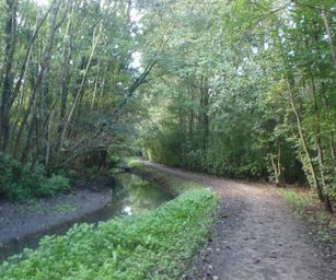 01-10-2022 Tervuren-Bos (27)