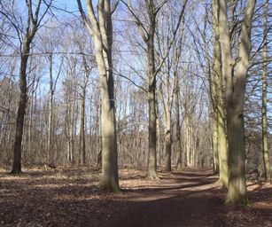 Kessel-Lo - 28-03-2021 (14)