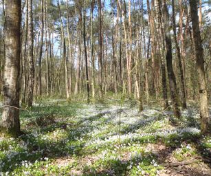 Kasterlee - 17-04-2021 (9)