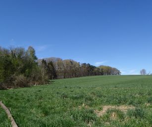 18-04-2022 - La Hulpe  (14)