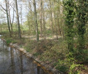 Dendermonde - 01-05-2021 (6)