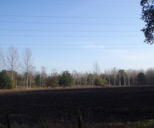 Bornem - 07-11-2020 (40)