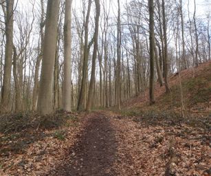 25-03-2023 - Buissenal (15)