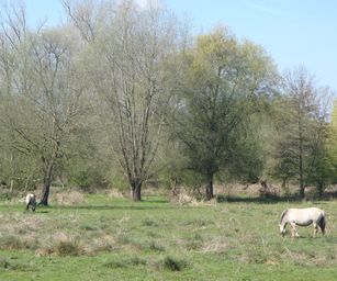 19-04-2023 - Wellen (7)