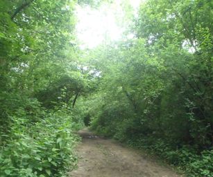 Sint-Pieters-Rode - 19-06-2021 (30)