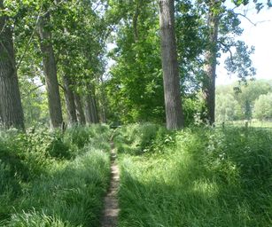 30-05-2023 - Assebroek (8)