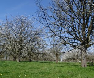 19-04-2023 - Wellen (9)