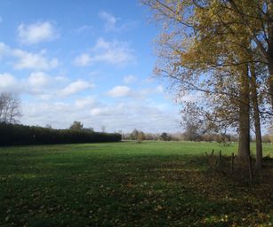Wetteren - 31-10-2020 (19)