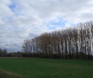 Wetteren - 31-10-2020 (4)