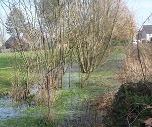 Bottelare 20-02-2021 (12)