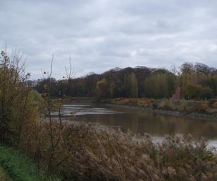 Wetteren - 31-10-2020 (1)
