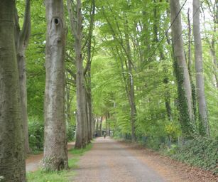 30-04-2022 - Destelbergen (14)