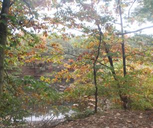 13-10-2022 Lommel (11)