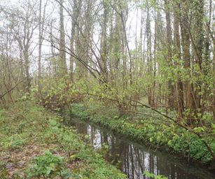 16-04-2023 - Winksele (9)