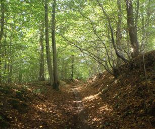 10-09-2022 - Senzeilles (17)