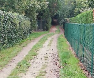 Paal - 18-10-2020 (4)