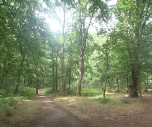 28-07-2022 Brugge 2 (11)