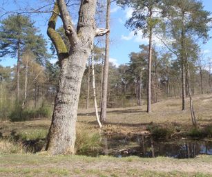 Kasterlee - 17-04-2021 (16)