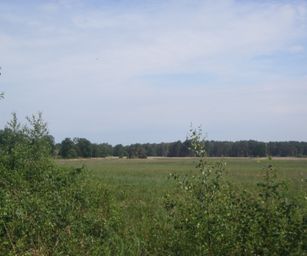 04-06-2022 Bergen-op-zoom (19)