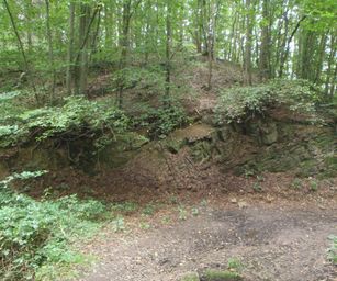 Wanze 11-09-2021 (7)