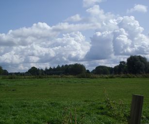 27-08-2023 - Laarne (6)