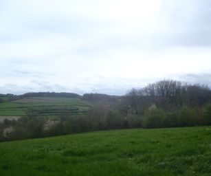 23-04-2023 - Banholt (25)