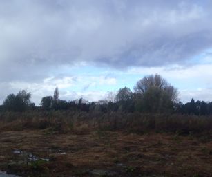 29-10-2023 - Wetteren (3)