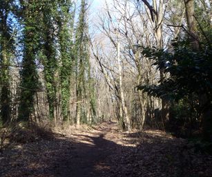 26-02-2023 - Zoersel (4)